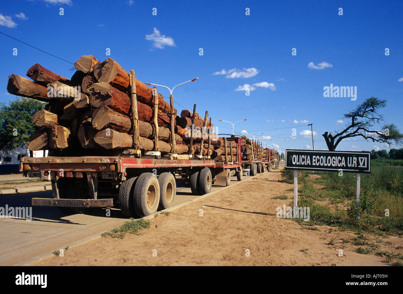 Big cargo trucks with quebracho trees trunks. An image of deforestation. Chaco, Argentina Stock Photo
