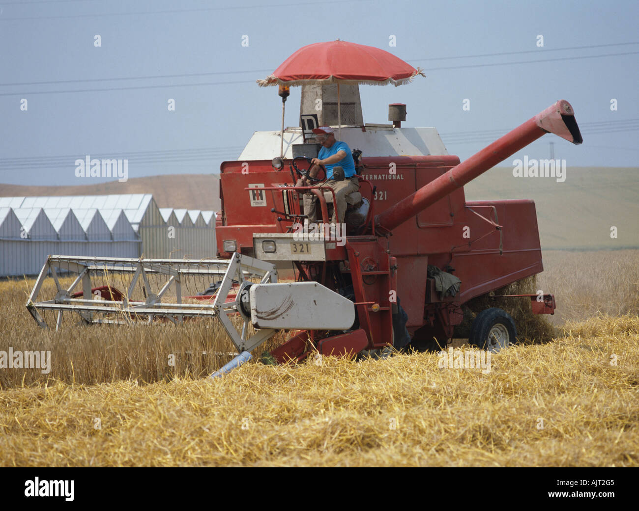 Old open combine with umbrella for shade harvesting barley crop in France Stock Photo