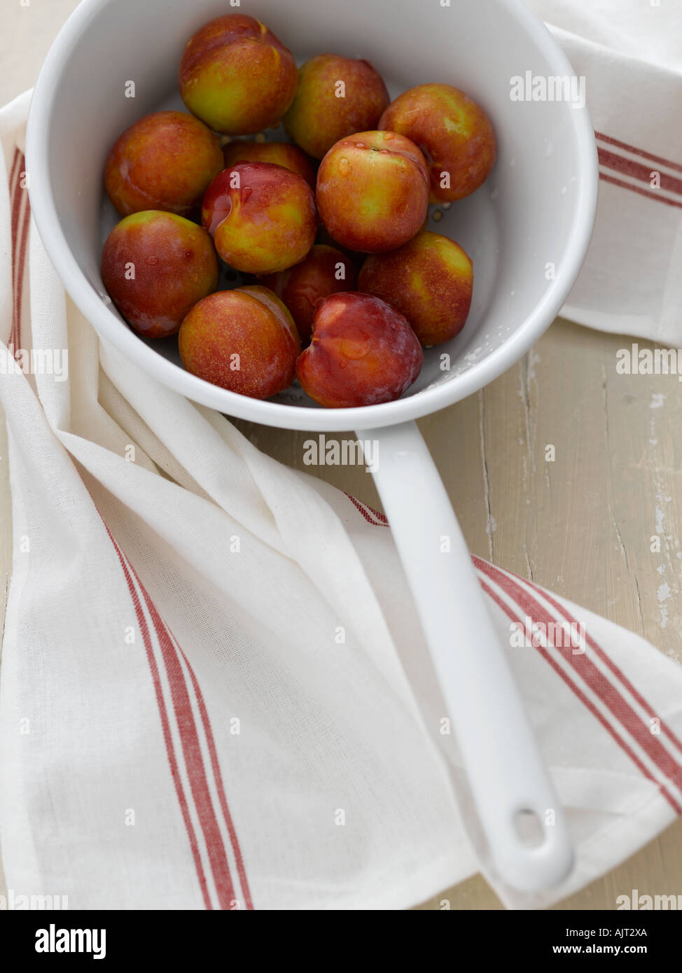 Plums in colander - high end Hasselblad 61mb digital image Stock Photo