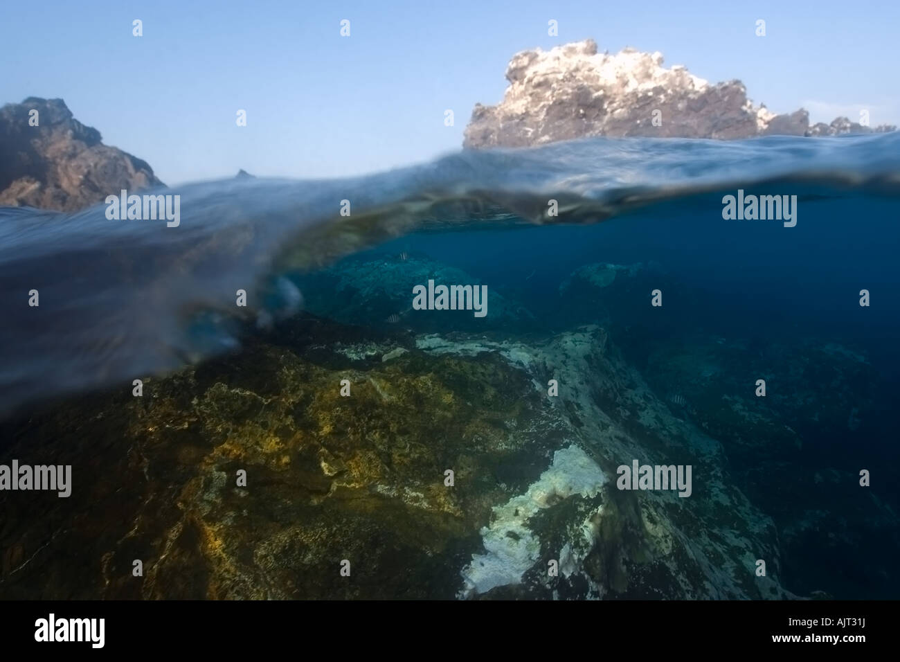 Split image of rocks and underwater substrate St Peter and St Paul s ...