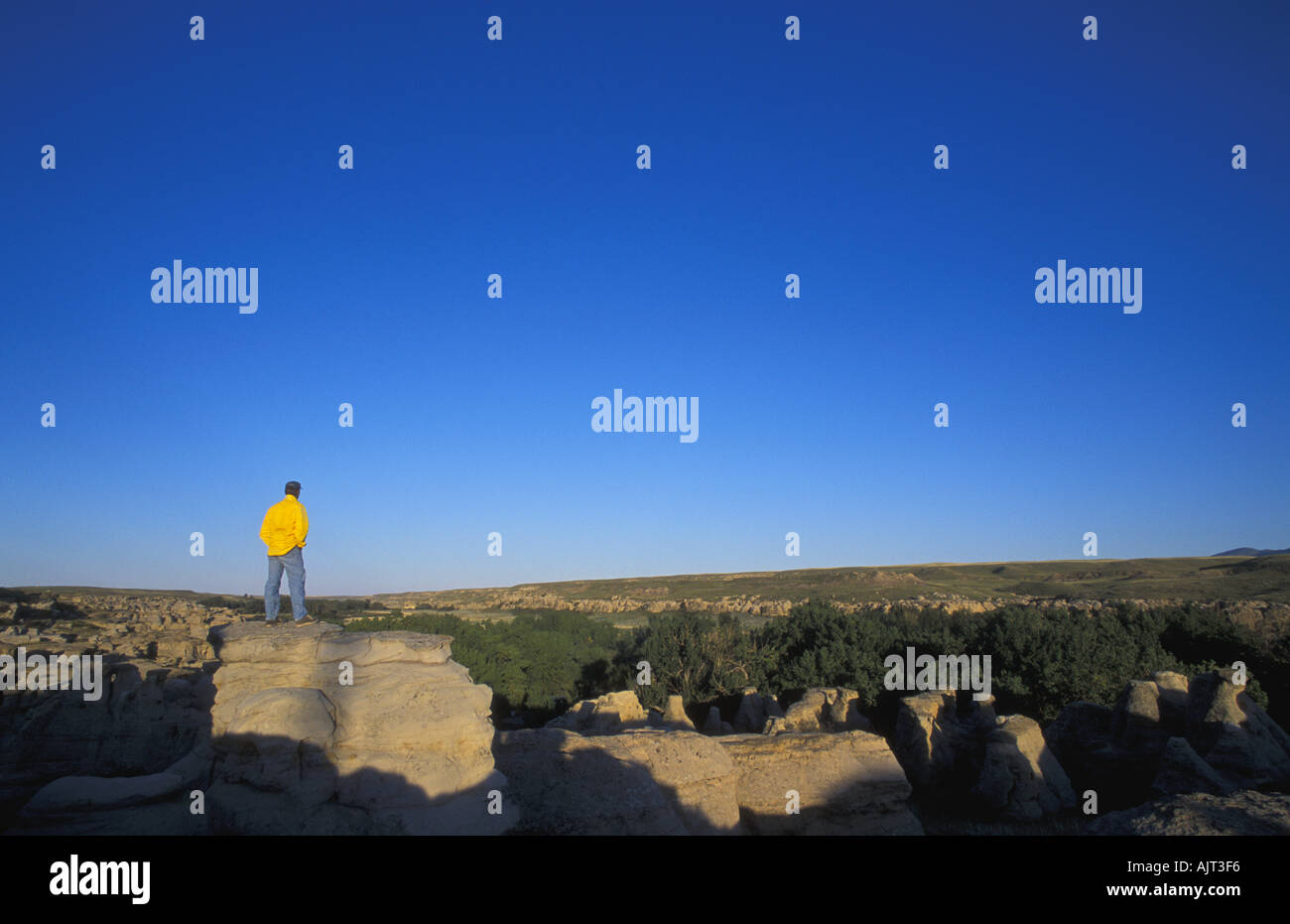 Enjoying the view Stock Photo