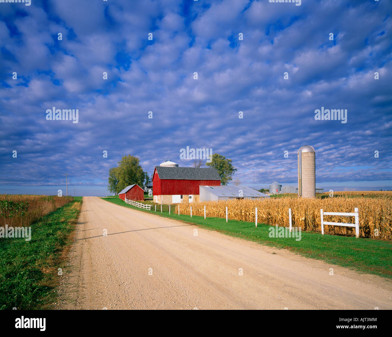 Country road and Farm Minnesota USA Stock Photo - Alamy