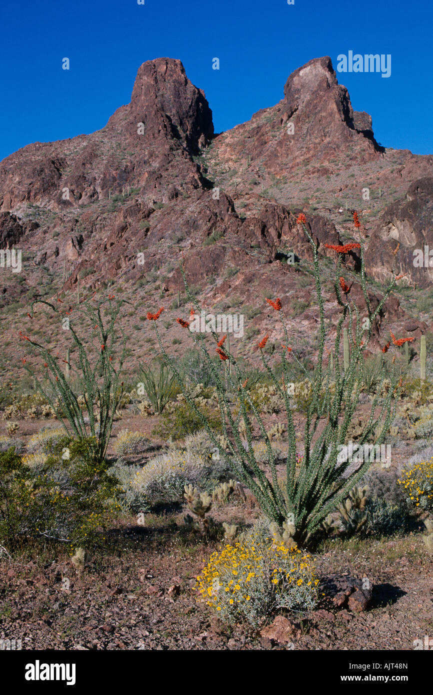 Castle Dome Mountains Stock Photo Alamy