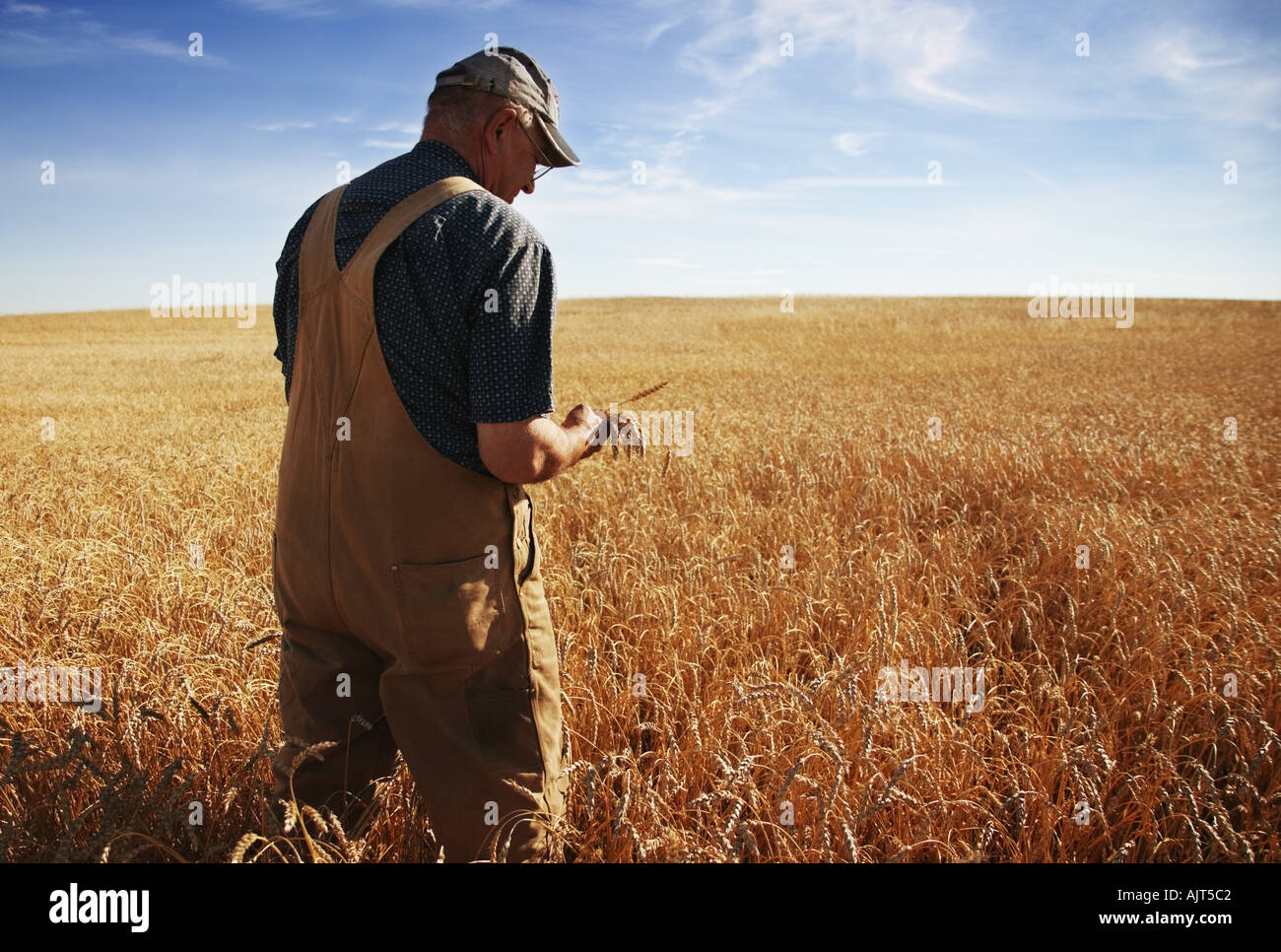 Farmer in field sky hi-res stock photography and images - Alamy
