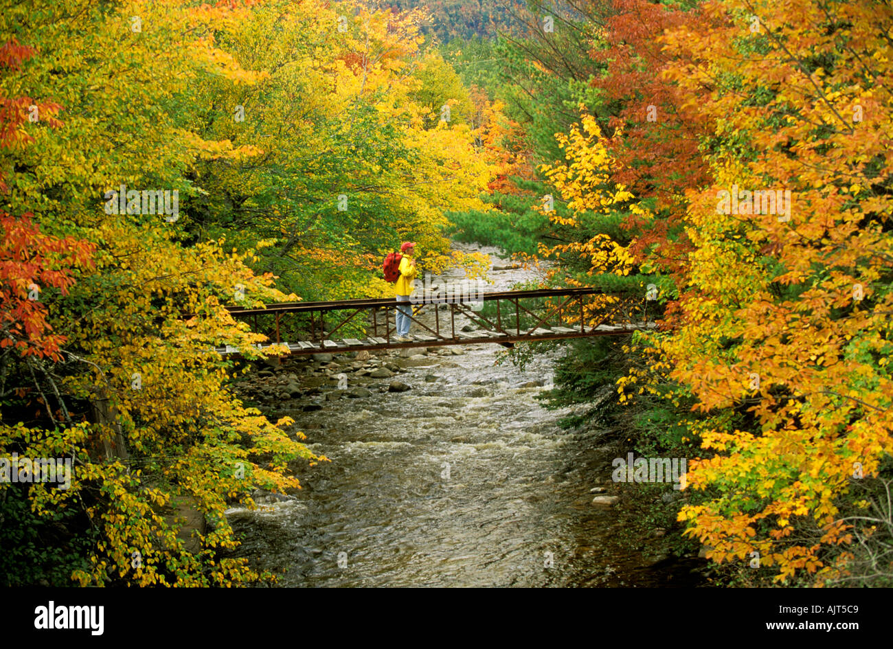 CANADA Nova Scotia Cabot Trail Woman hiker crossing Little River foot bridge surrounded by a spectrum of autumn colors Stock Photo
