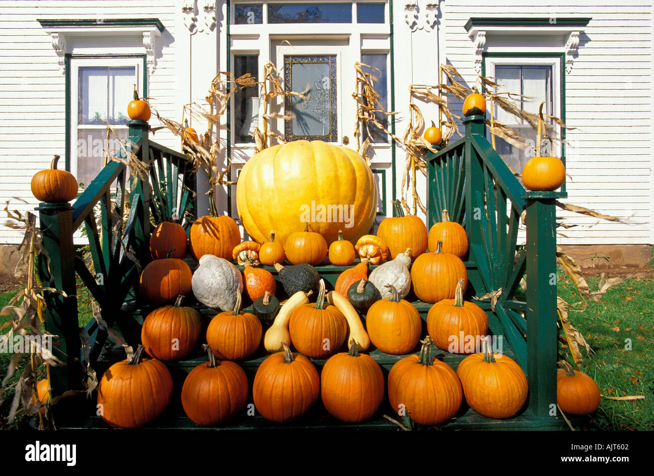 Nova Scotia, Canada Halloween large pumpkins stacked on house porch  at Howard Dill s pumpkin farm Stock Photo