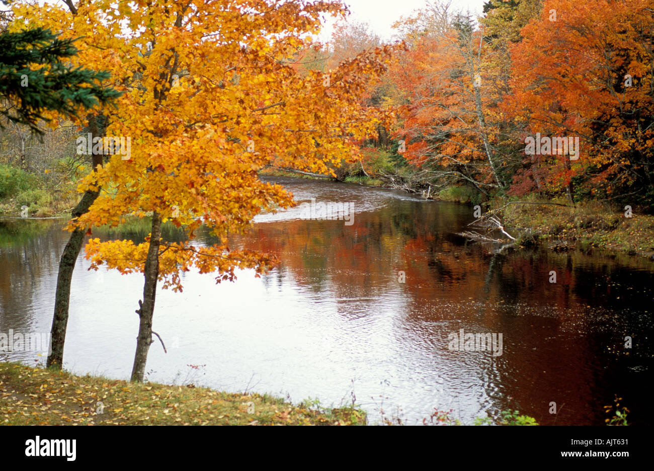 Margaree river hires stock photography and images Alamy