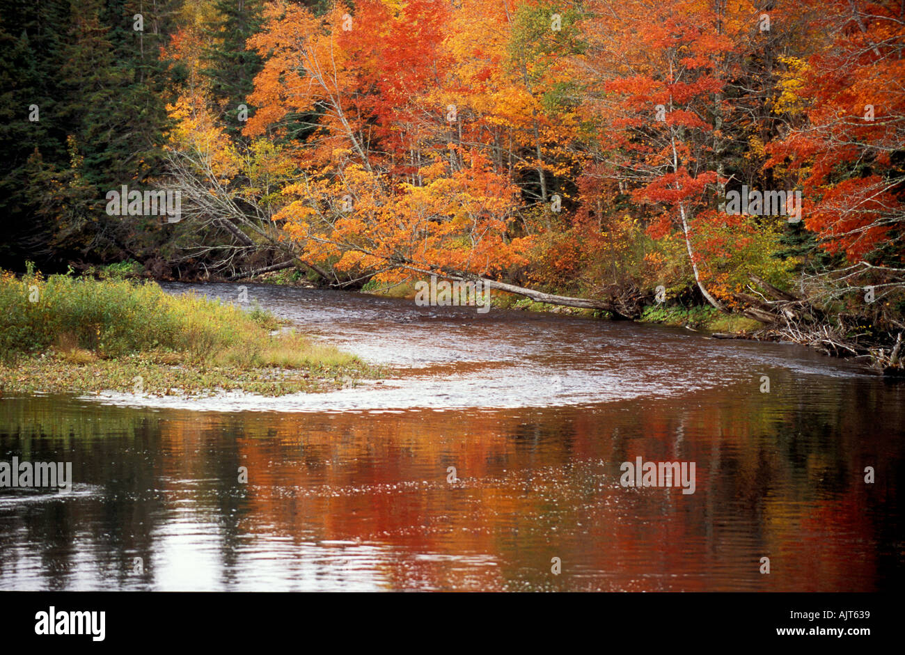 CANADA Nova Scotia Cabot trail Margaree River flowing through autumn