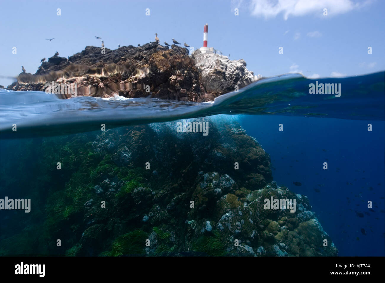 Split image of rocks and underwater substrate St Peter and St Paul s rocks Brazil Atlantic Ocean Stock Photo