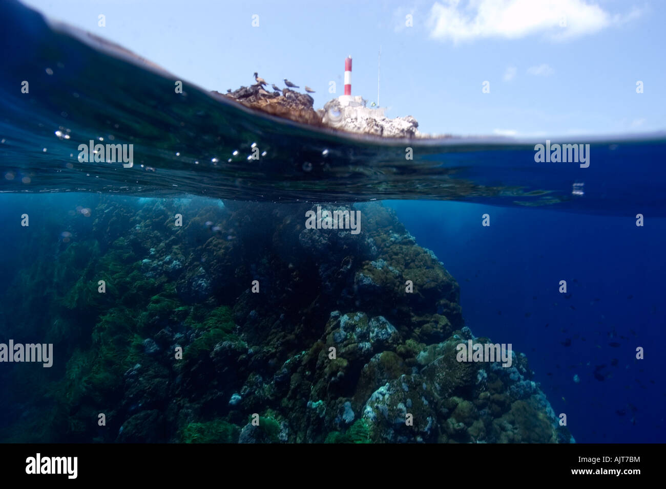 Split image of rocks lighthouse and underwater substrate St Peter and