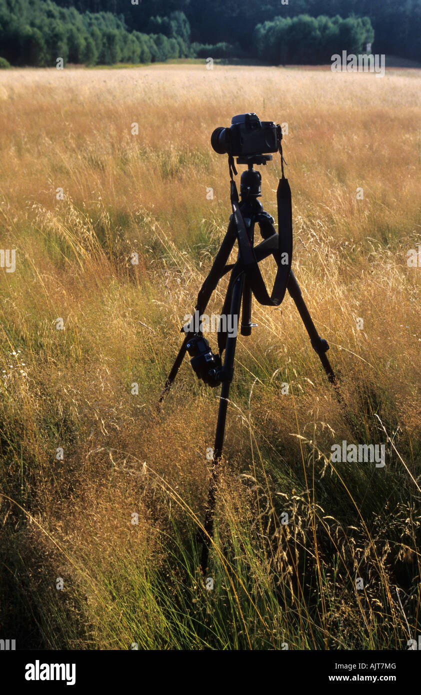 Photo camera - outdoor photography Stock Photo
