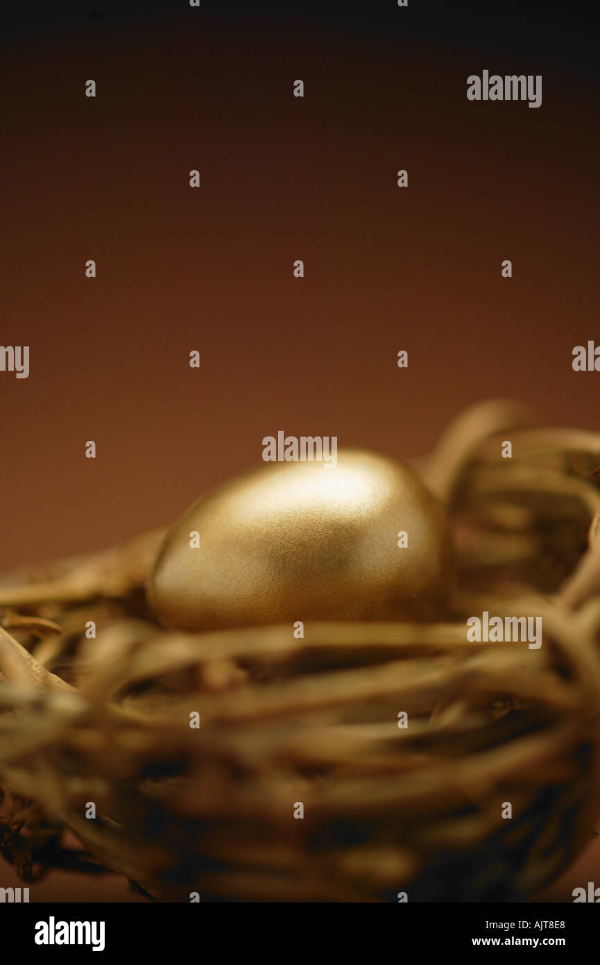 Golden egg in nest Stock Photo - Alamy