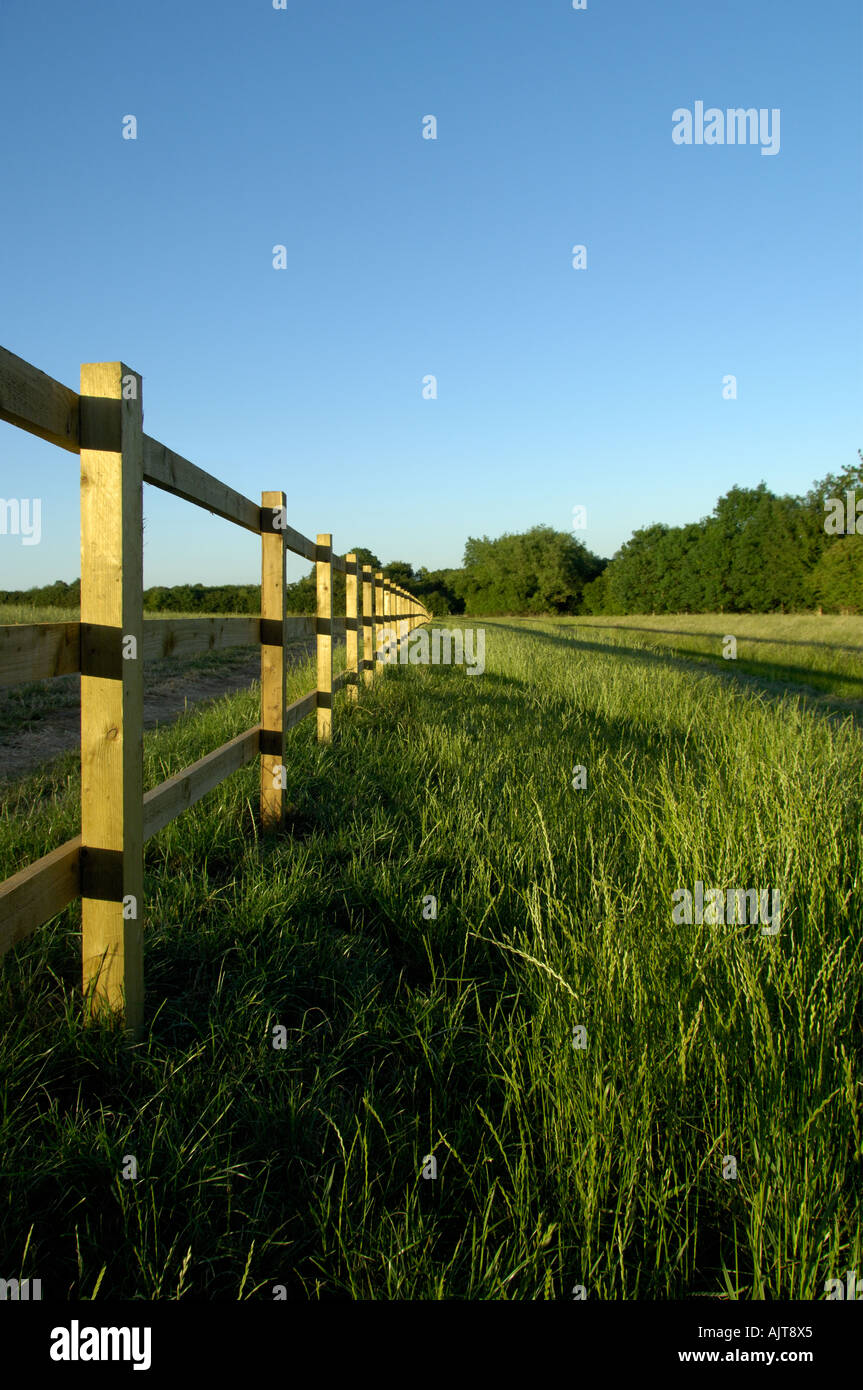Wooden fence in lush green grass Stock Photo - Alamy