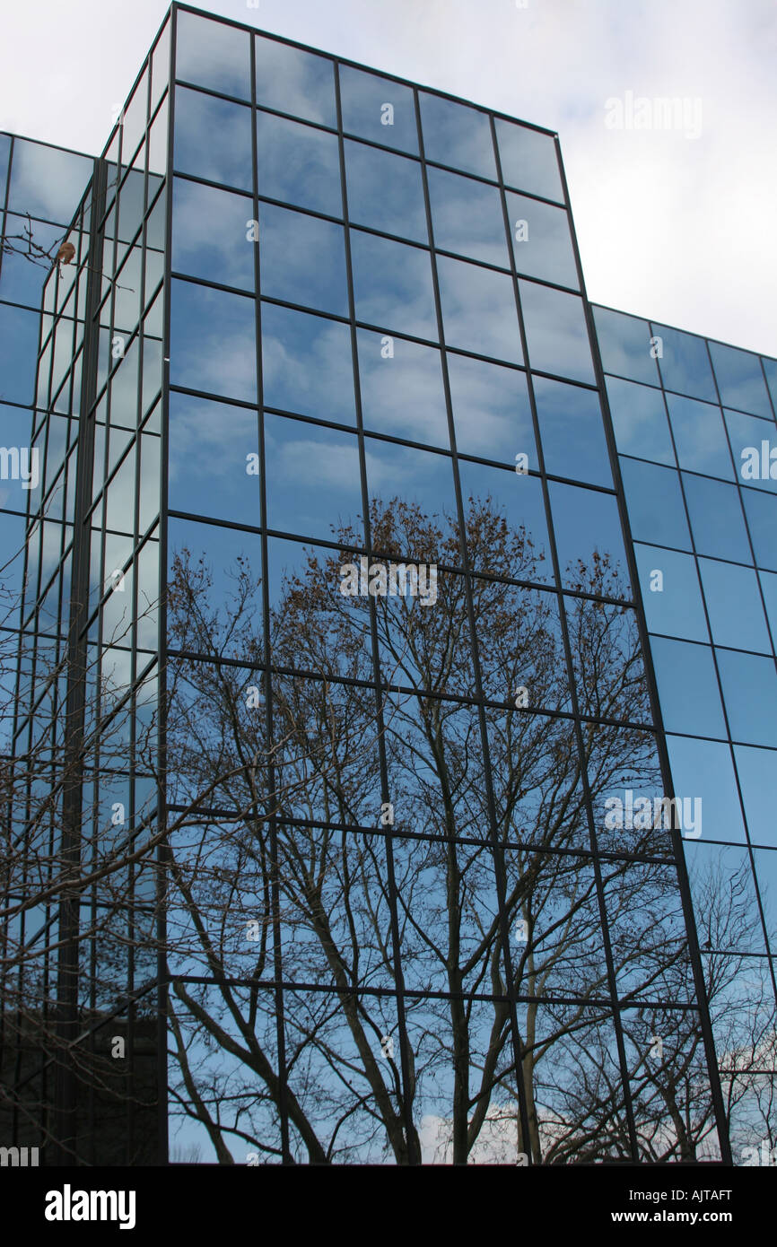 Tree and blue sky with clouds reflected in building Stock Photo - Alamy
