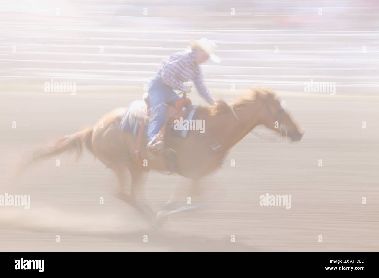 Male horse rider reins hi-res stock photography and images - Alamy