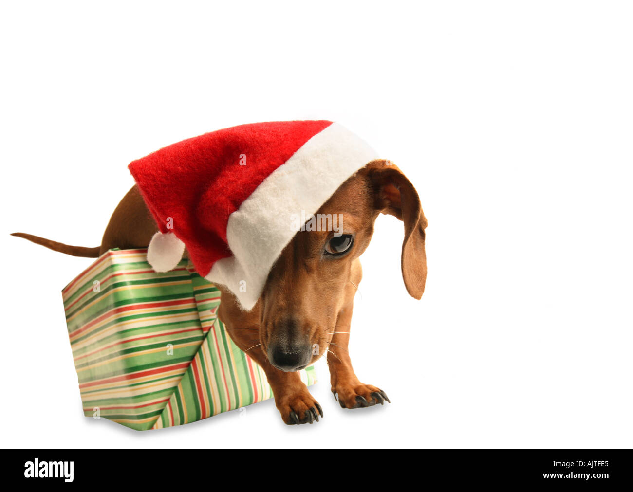 Perspective hat hi-res stock photography and images - Alamy