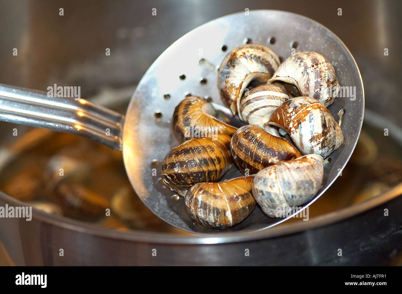 Boiled snails hi-res stock photography and images - Alamy