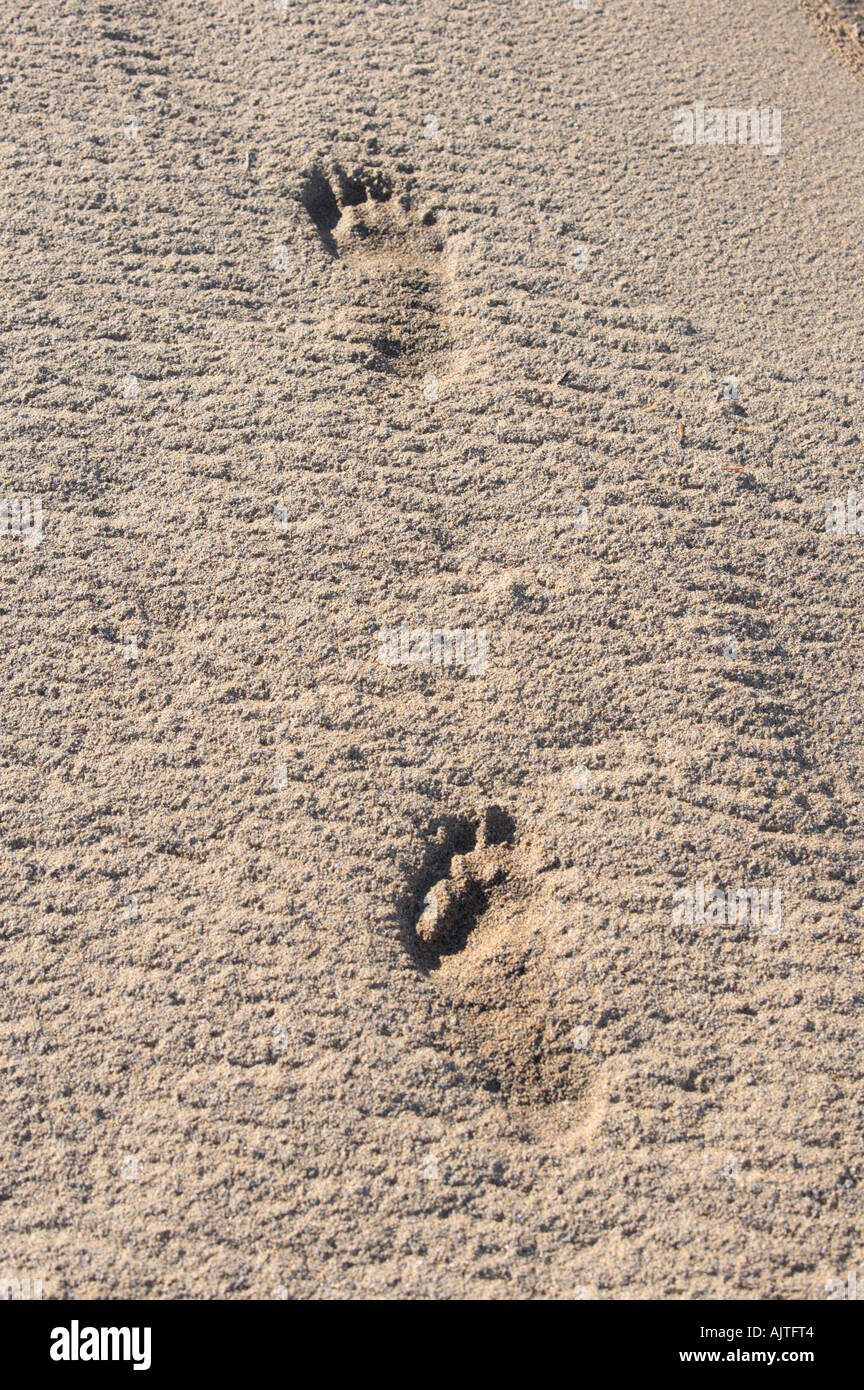 Footprints on a sandy beach, Breidavik, West Fjords, Iceland Stock Photo
