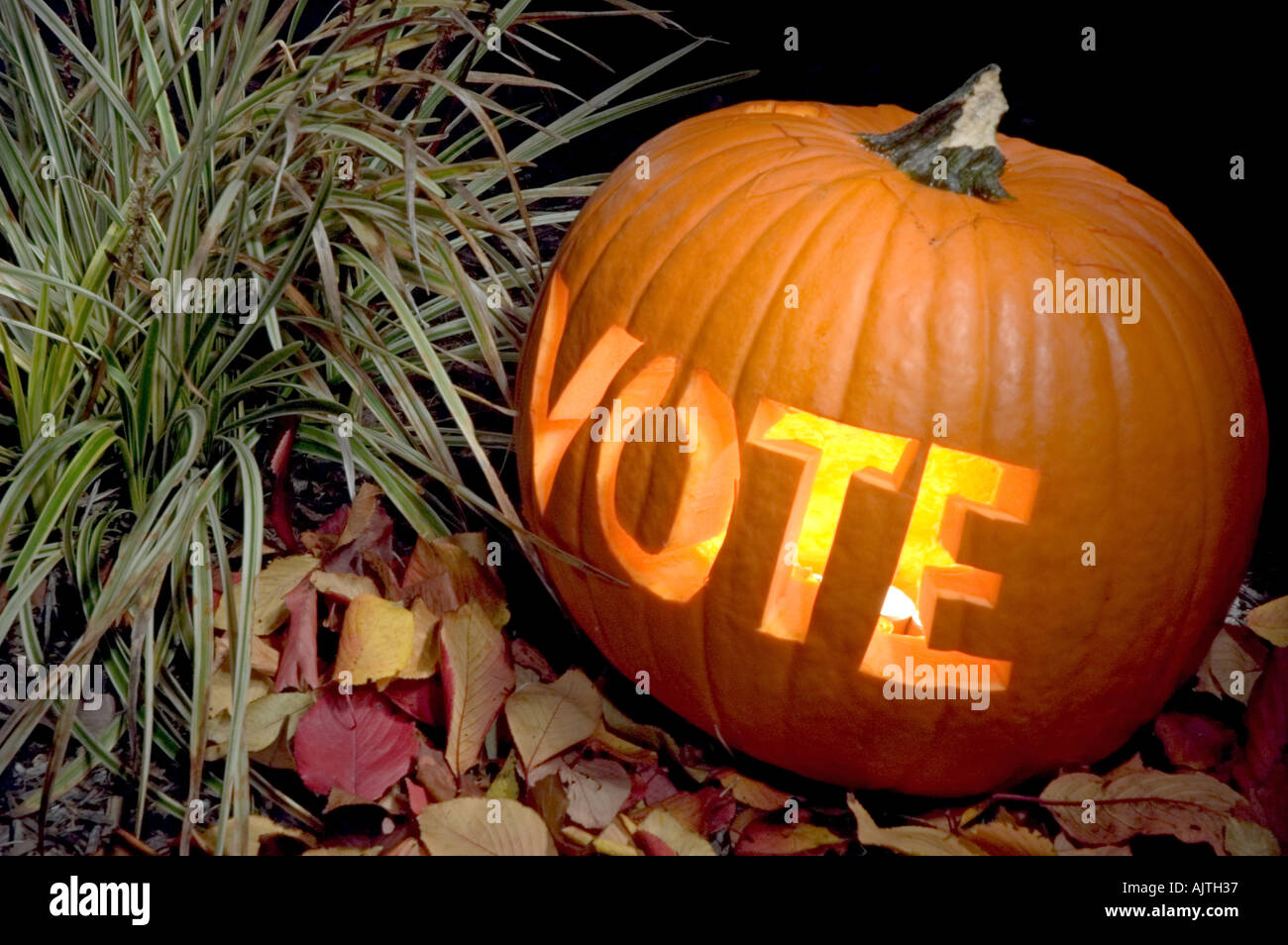 An orange pumpkin greets trick or treaters with a non partisan (democrat or republican)message to vote Stock Photo