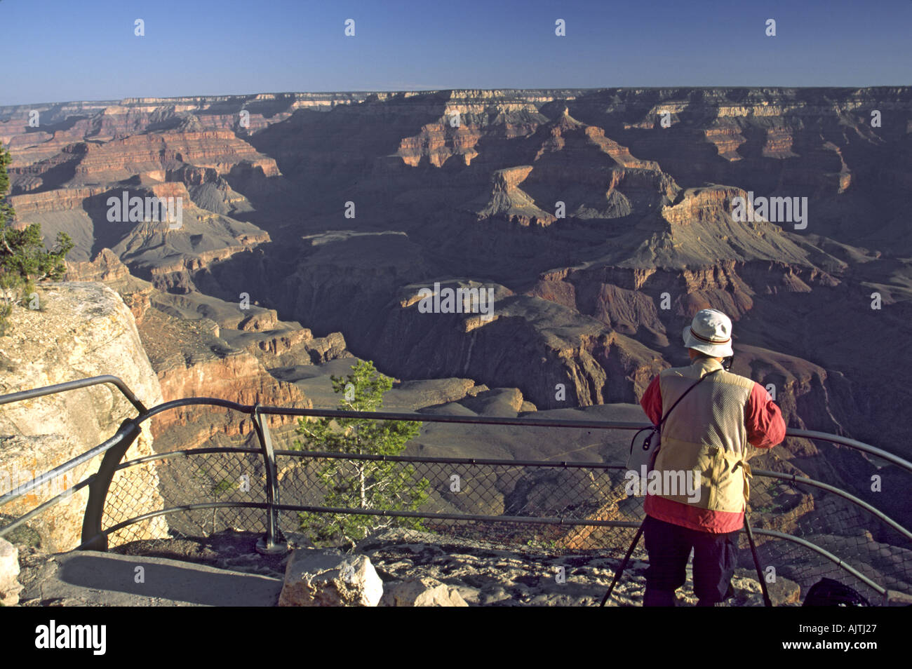Grand Canyon, visitor, Mather Point, Arizona, USA Stock Photo