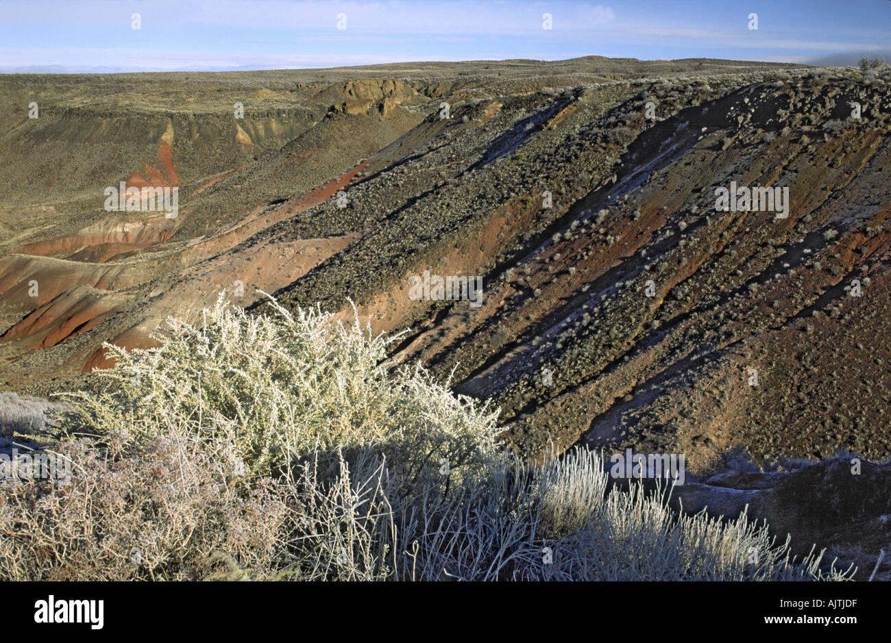Frosty grass and bushes in Painted Desert at Nizhoni Point, winter, Petrified Forest National Park, Arizona, USA Stock Photo