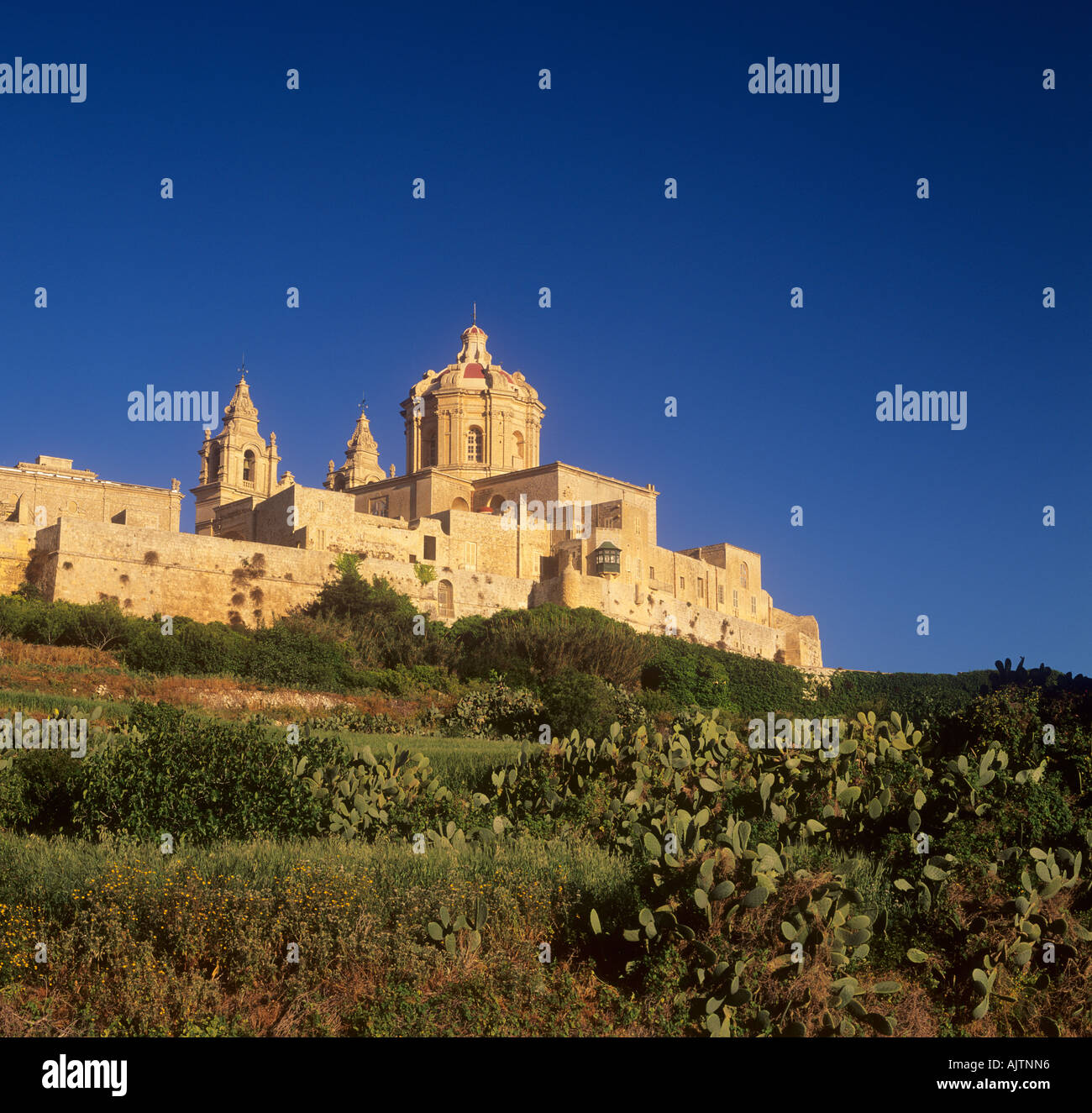 Mdina and Cathedral Dome at first light Malta Stock Photo