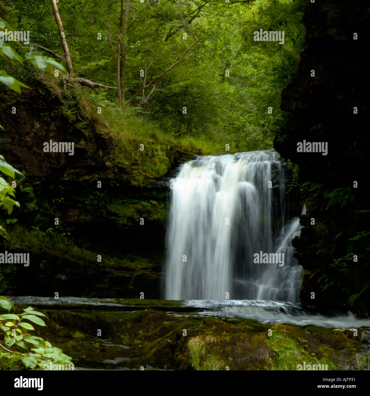 Upper Ddwli falls in waterfall country Brecon Beacons Wales United Kingdom of Great Britain UK Europe Stock Photo