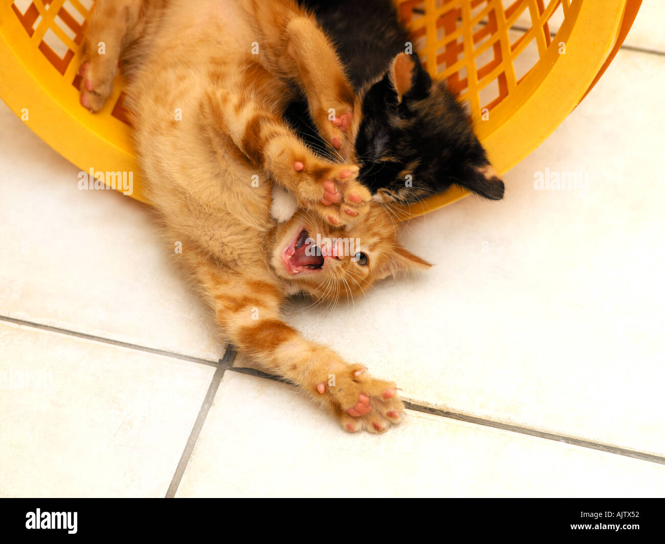 Washing basket hires stock photography and images Alamy