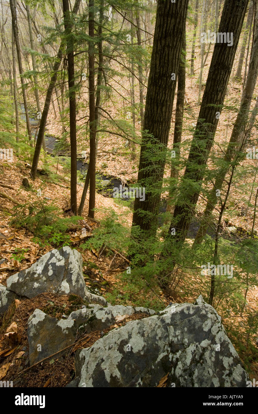 Gulf brook ravine hi-res stock photography and images - Alamy