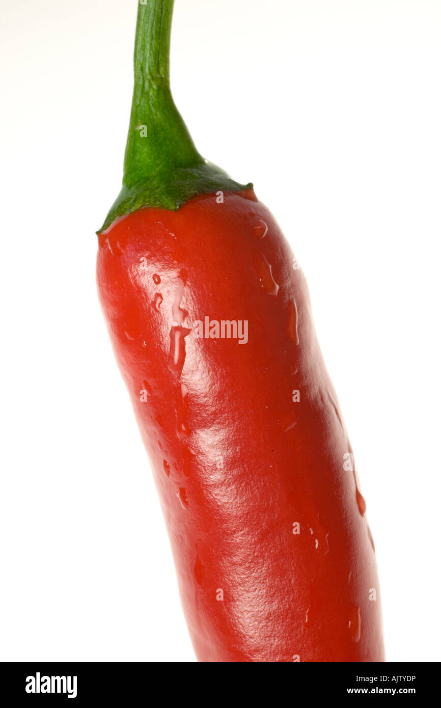 Red Chilli Stock Photo
