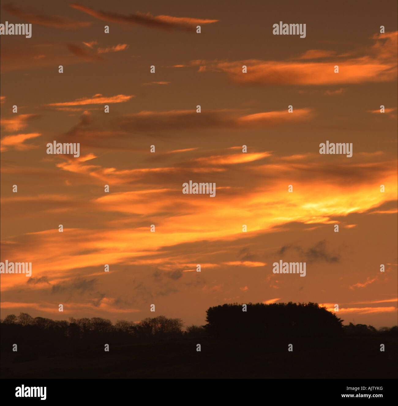 Pre-Dawn Sky Stock Photo - Alamy