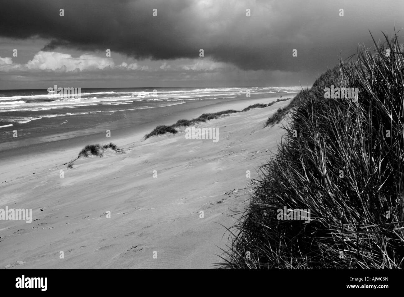 black and white beach Stock Photo - Alamy