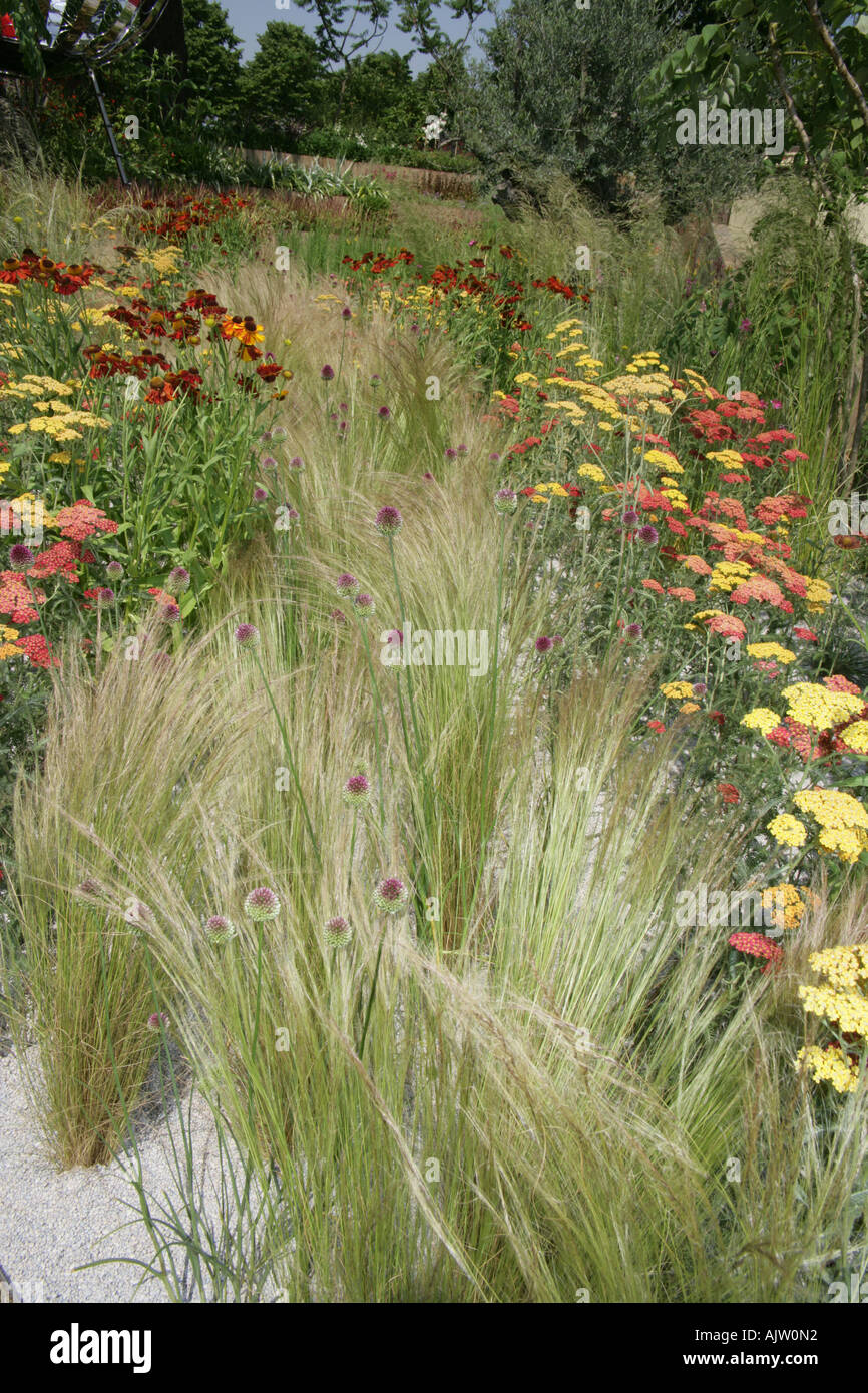 Grasses gravel garden hi-res stock photography and images - Alamy