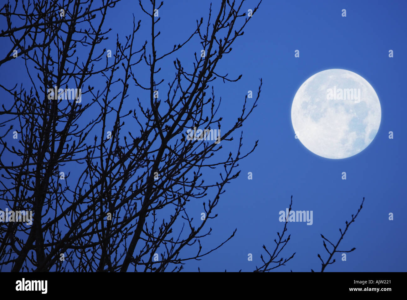 Full moon against evening sky Stock Photo