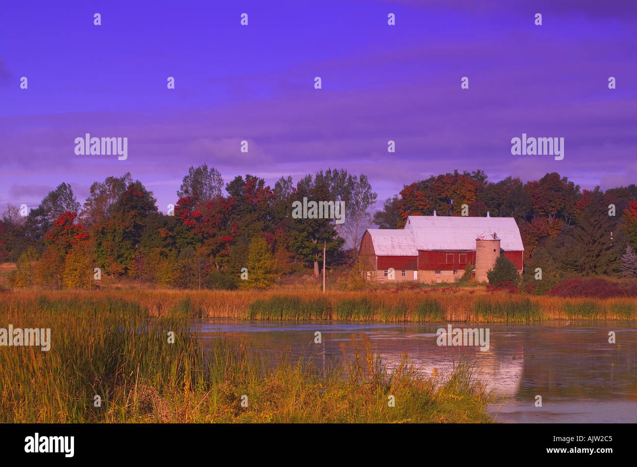 Quiet barn hi-res stock photography and images - Alamy