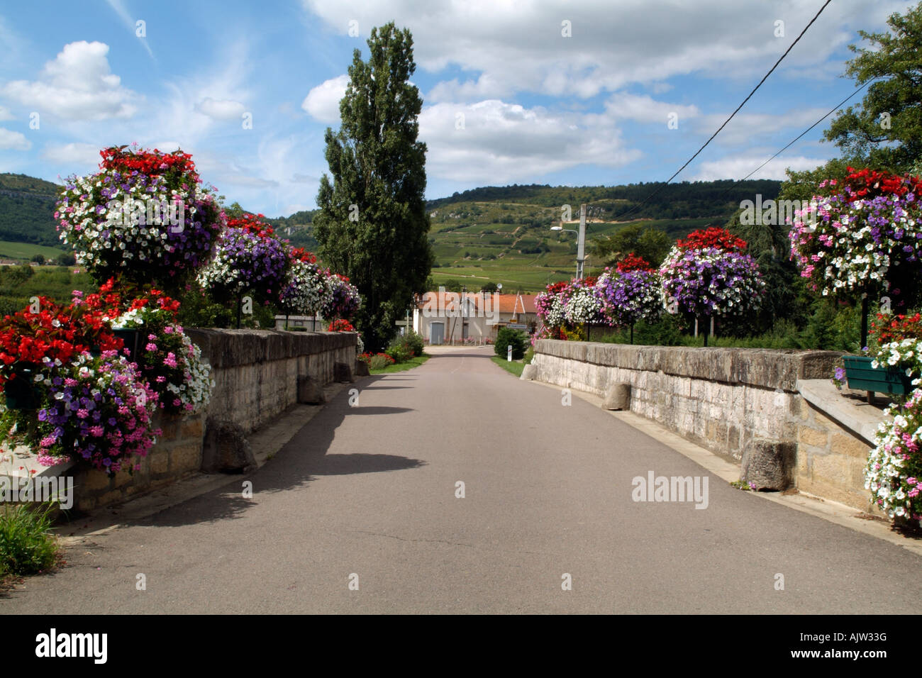Flowers on French Roadside at Santenay France Stock Photo