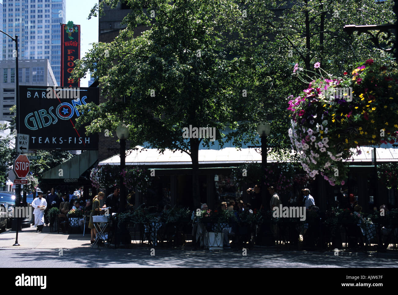 Chicago Gibsons Bar and Restaurant on Rush Street Stock Photo Alamy