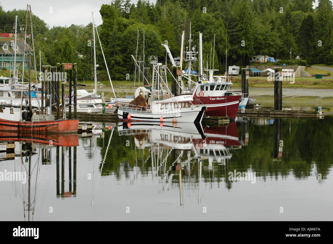 Ships in harbour / Ucluelet   Stock Photo