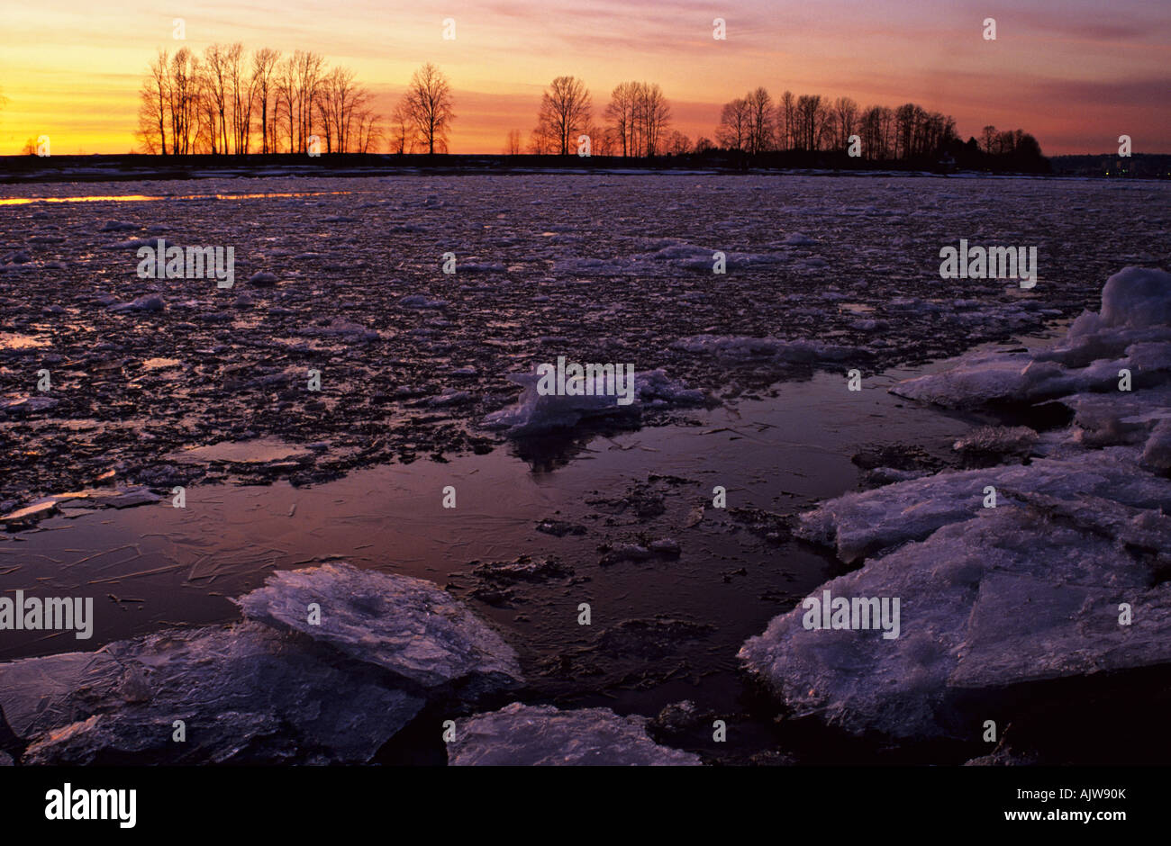 Ice in Fraser River at sunset from Burnaby Foreshore Park Burnaby