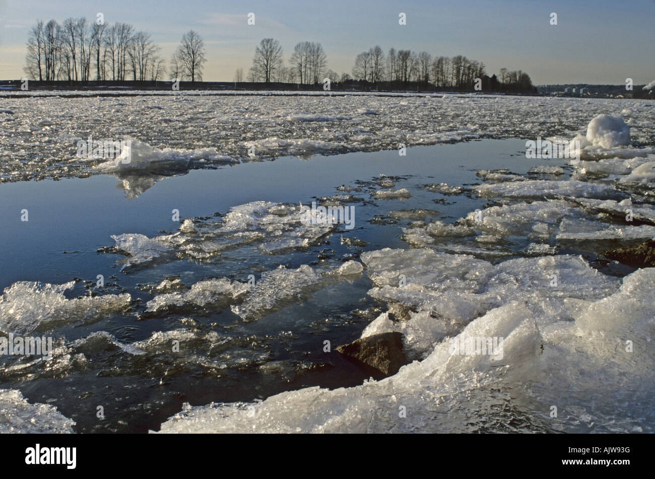 Ice in Fraser River at Fraser Foreshore Park Burnaby British Columbia