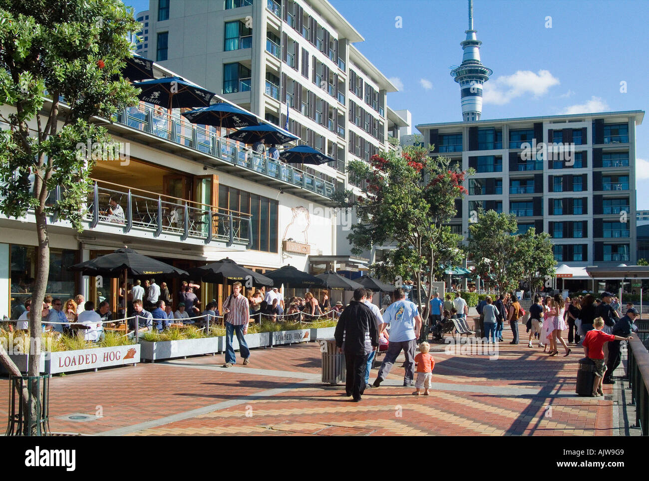 Sky Tower / Auckland  Stock Photo