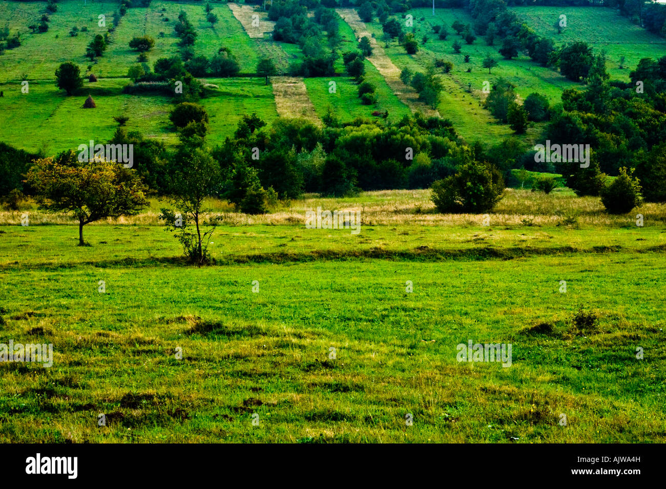 Cultivated patches hi-res stock photography and images - Alamy