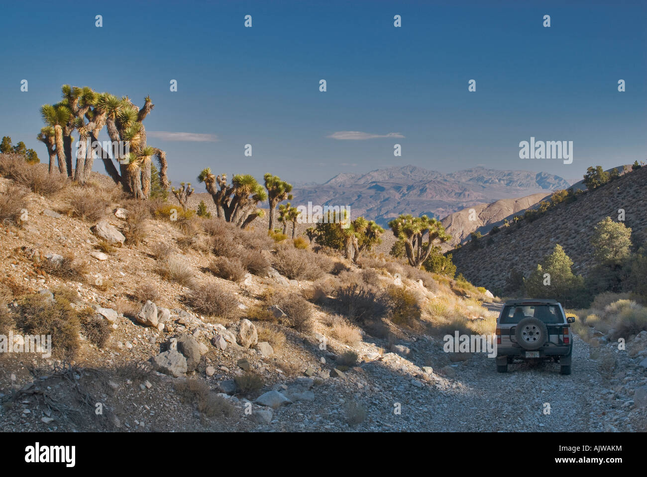 Nelson Range from Cerro Gordo Road near Death Valley California USA Stock Photo Alamy