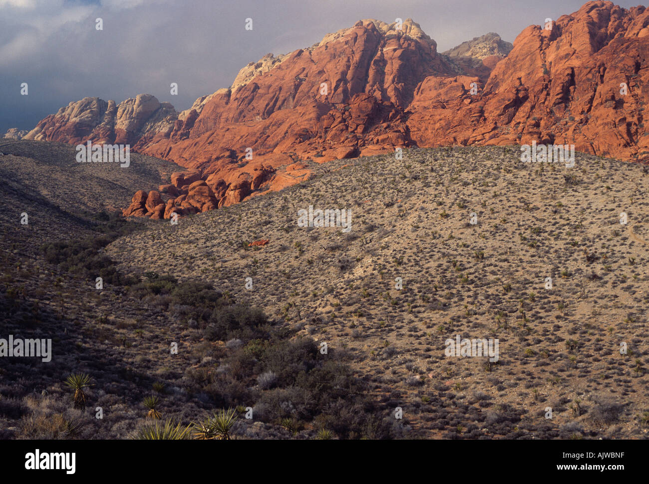 Mojave Desert ravine with red sandstone and gray limestone formations, Red Rock Canyon National Conservation Area, Nevada Stock Photo