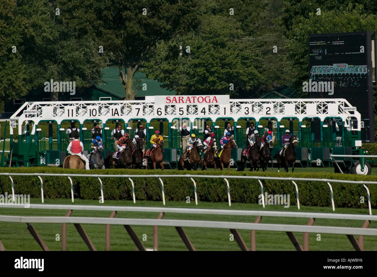 Horses running at Saratoga Race Course Saratoga Springs New York Stock Photo Alamy