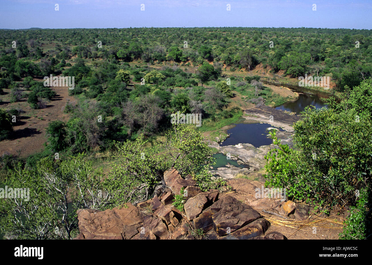 Landscape Nwanetsi Lookout Kruger Park Transvaal South Africa Stock 