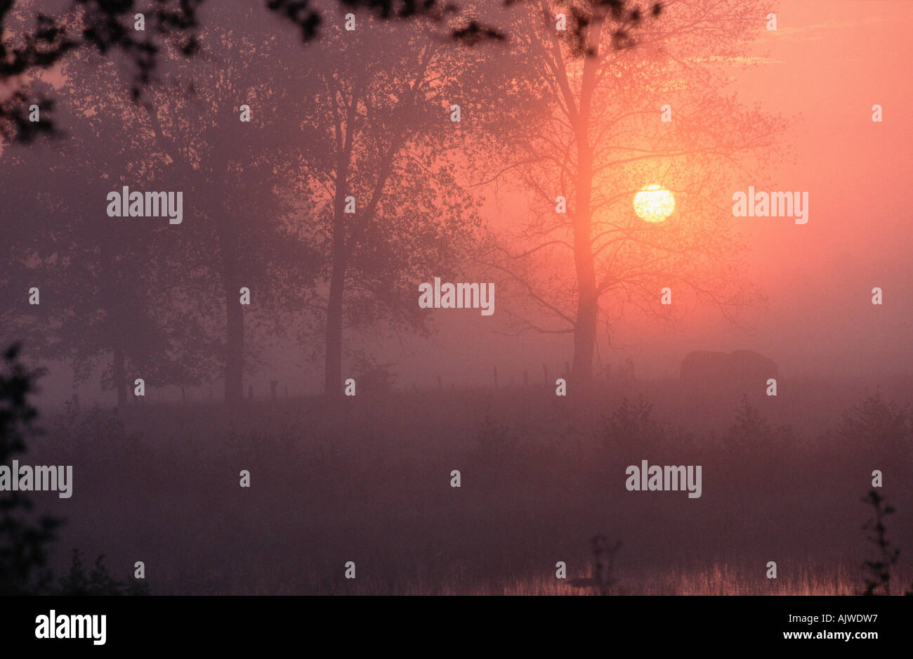 Format mood hi-res stock photography and images - Alamy