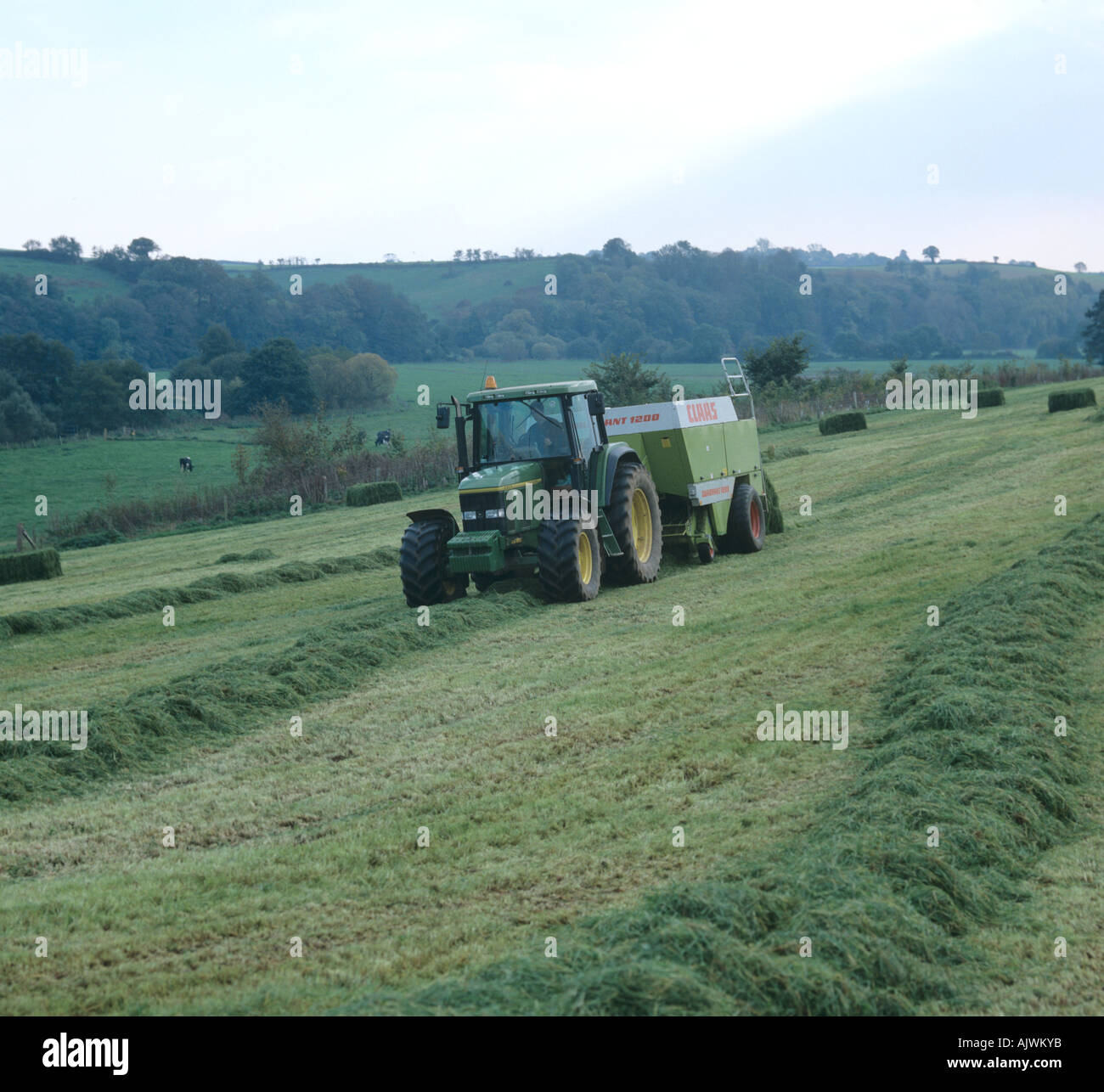 John Deere tractor Claas high density baler baling late season grass silage Stock Photo