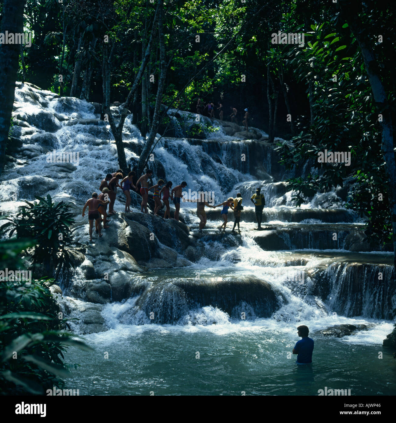 Visitors walking up the beautiful rocky waterfalls shaded under big trees at Dunns River Falls Jamaica The Caribbean Stock Photo