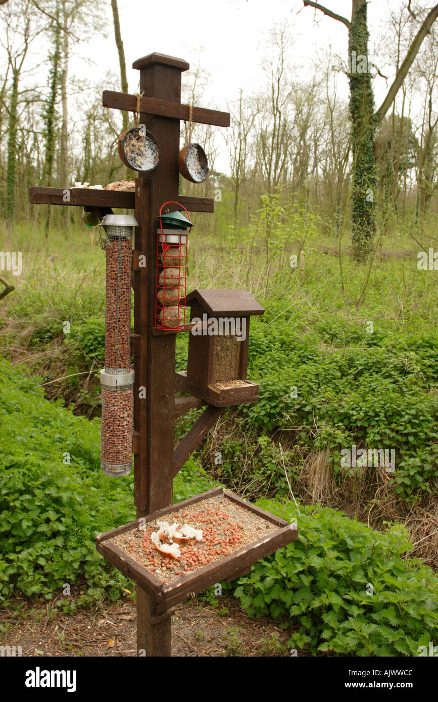 Bird Feeding Station In Nature Reserve Stock Photo Alamy